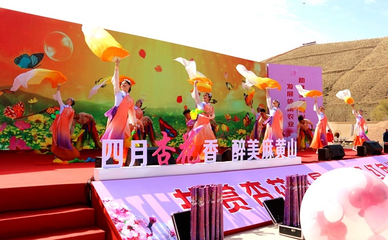 寧夏鹽池縣 杏花綻放迎客來，文藝創作繪新篇