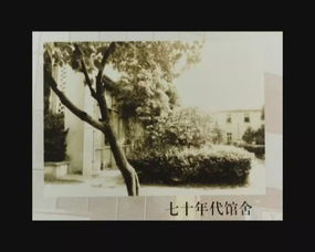 圖說四十年 我市文化活動日益豐富，文藝創(chuàng)作亮點(diǎn)頻現(xiàn)